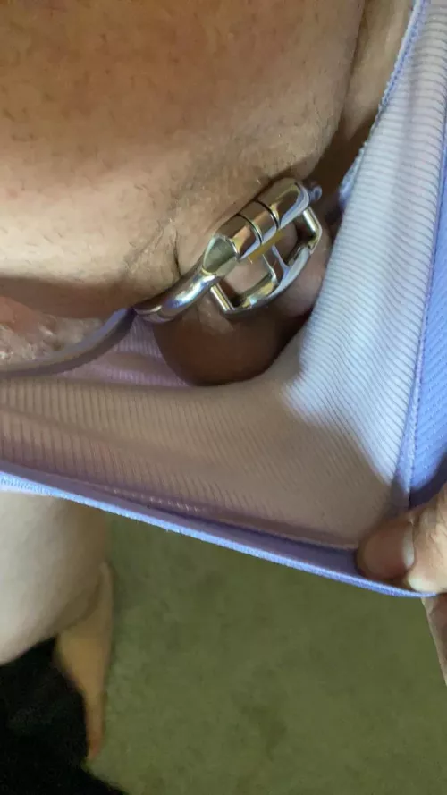 Upgraded to a smaller cage