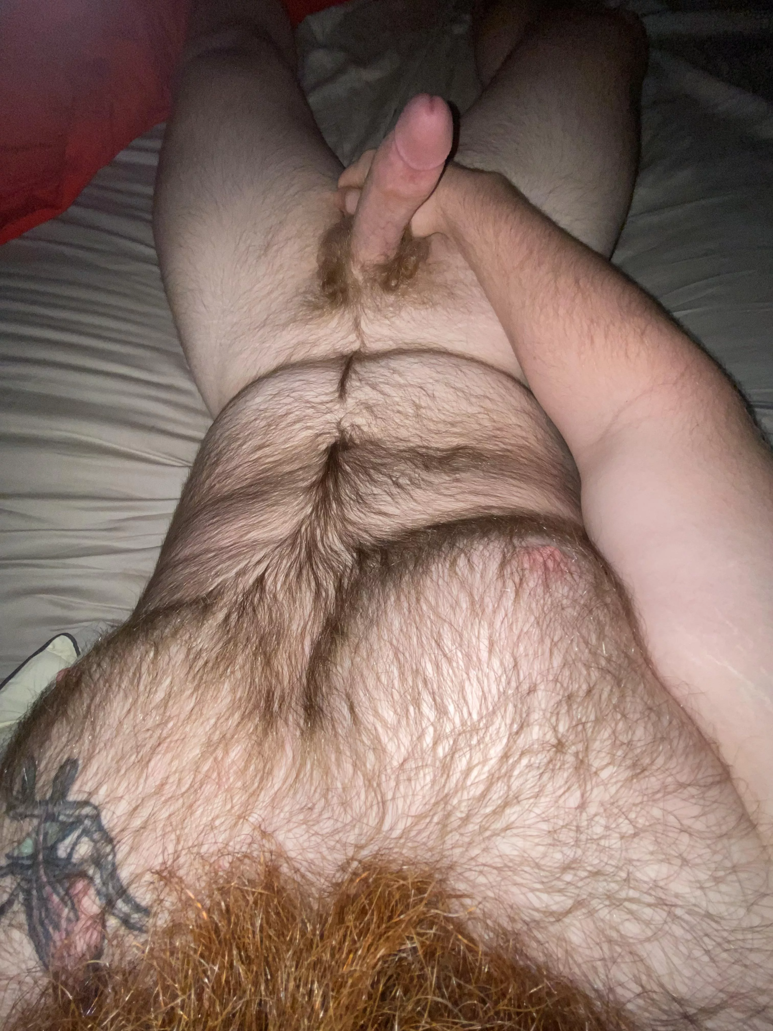 What do you want to sit on first ;)