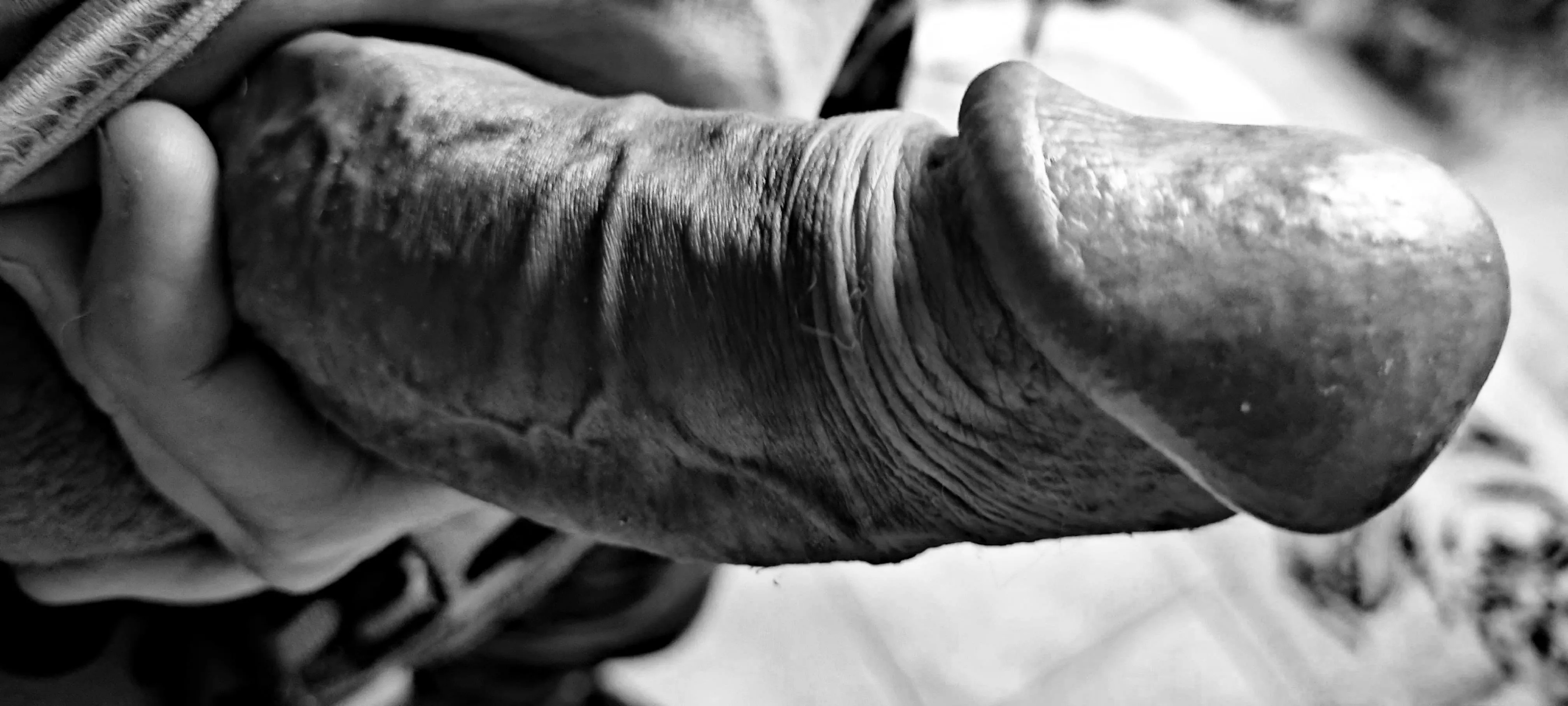 [43] who ordered a cock?