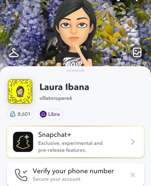 add me snapchat:villatoropere6