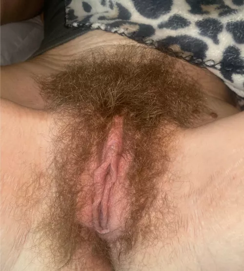 Feeding my pussy to the hungry, if you want any say “me!”