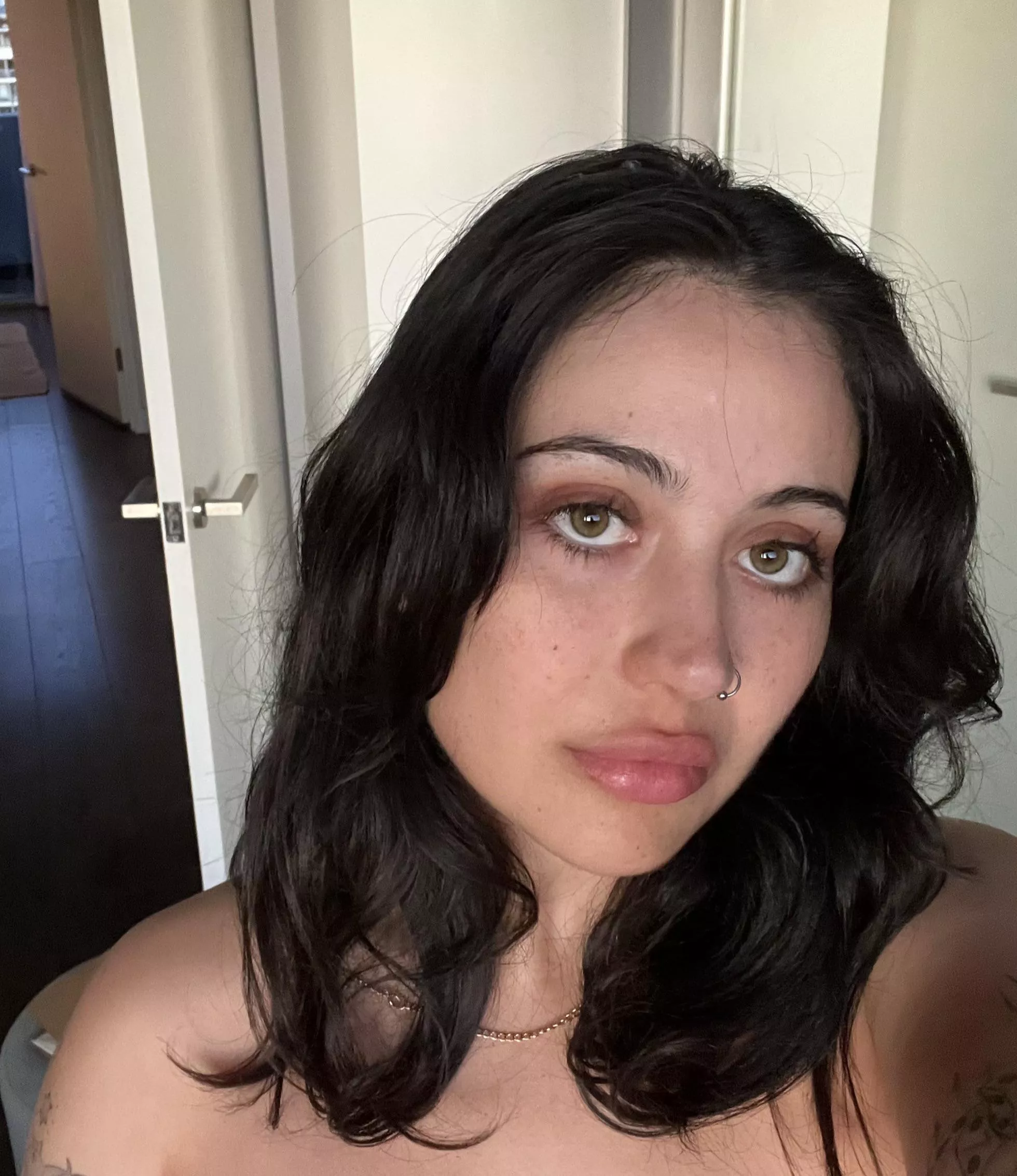 Lebanese, Australian, kiwi, islander, European