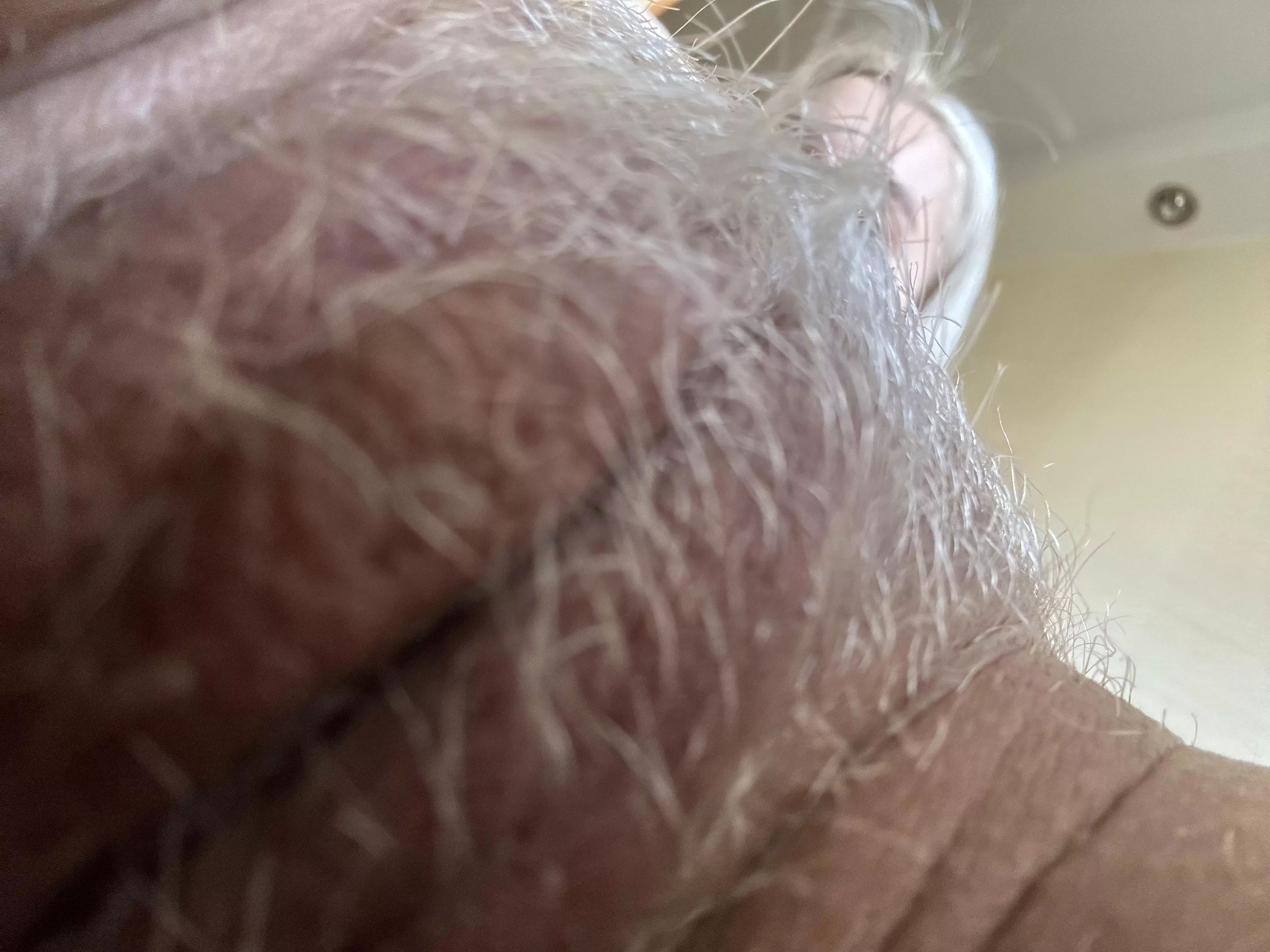 Look at this garden 🌱