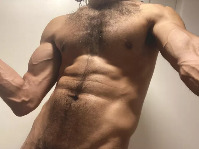 [M] flex [38]