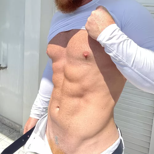 Mr Red Bush is here!