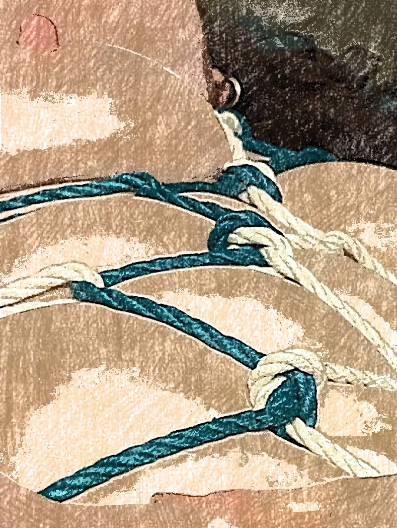 My model loves the feel.of the ropes