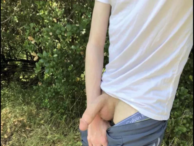 my solar powered semi