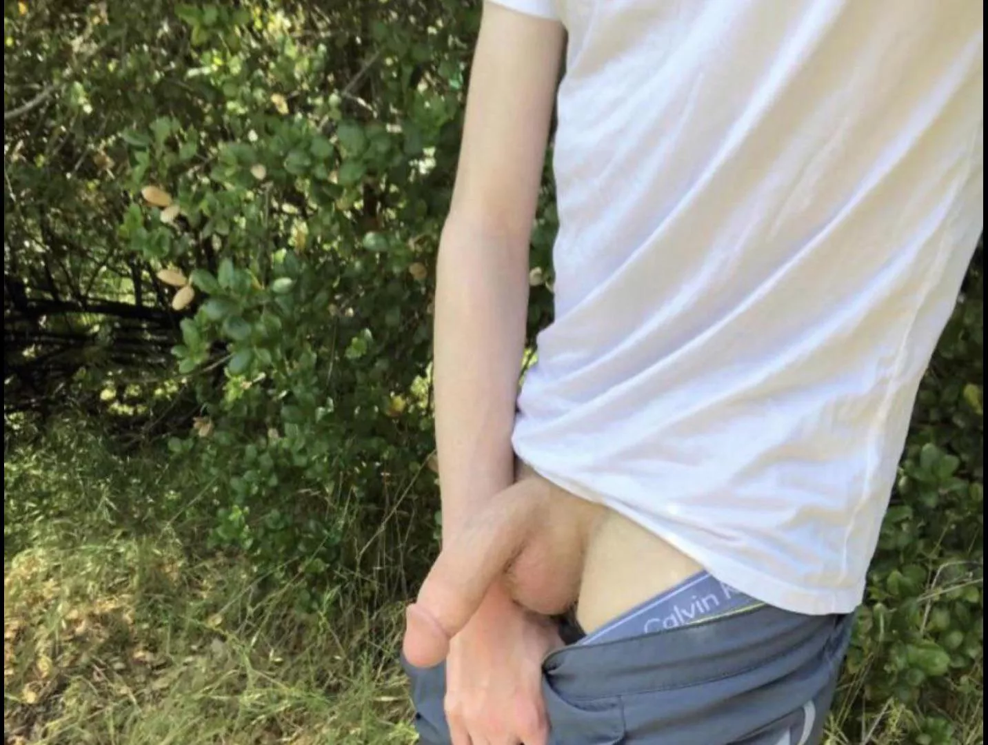 my solar powered semi