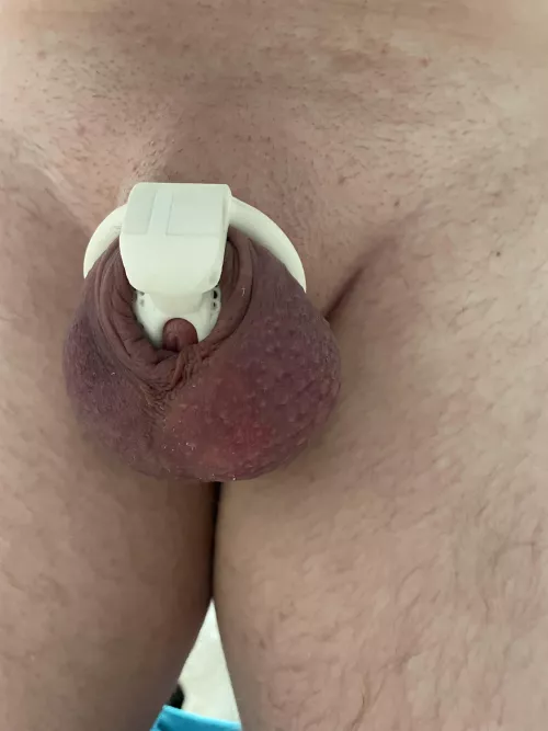 Uh oh, where did it go?