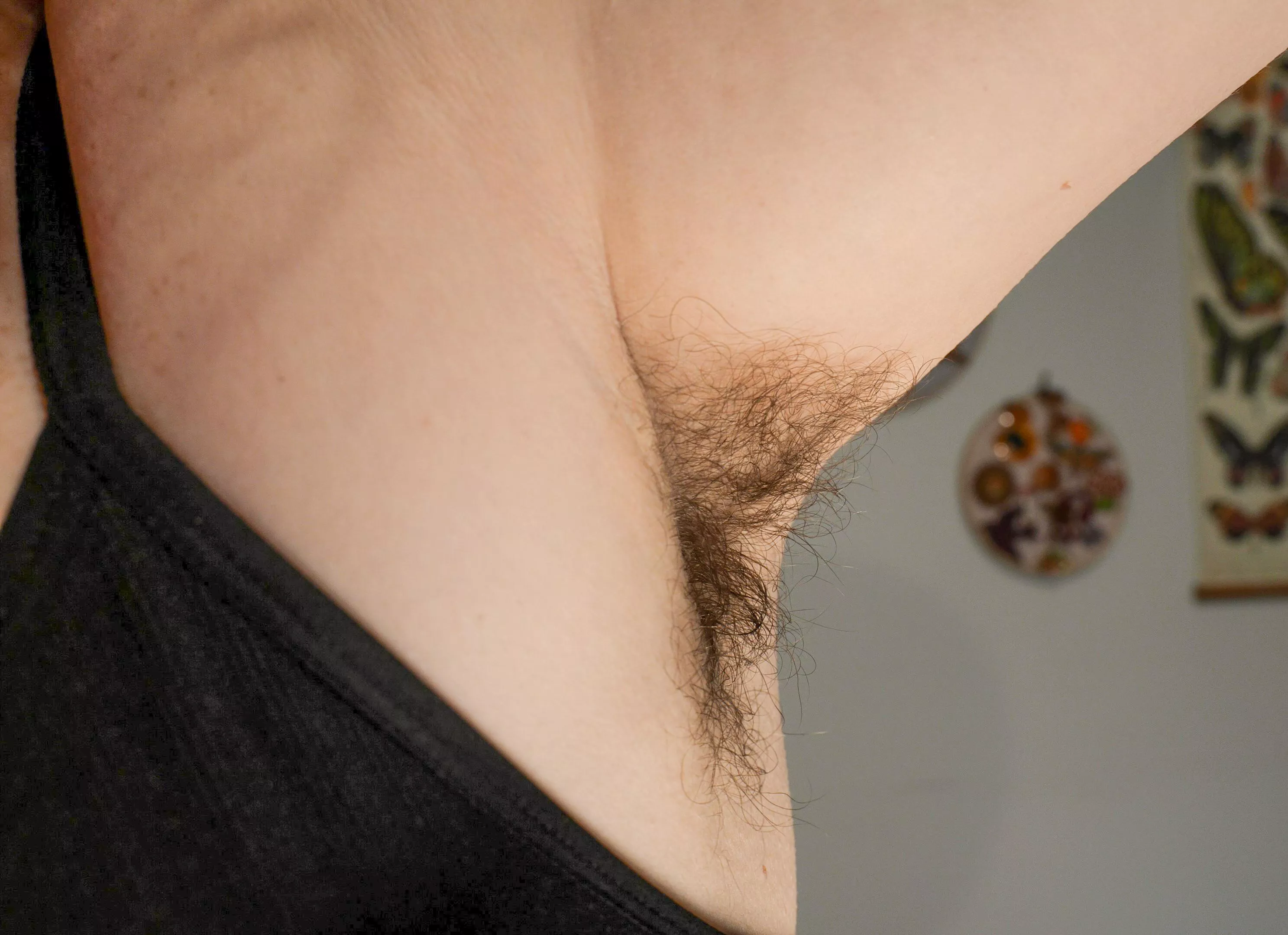 Up close and personal