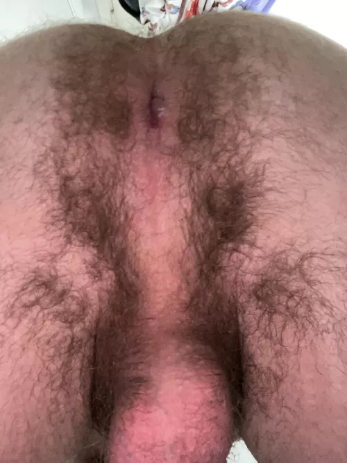18m, is this hairy enough ;) dms open