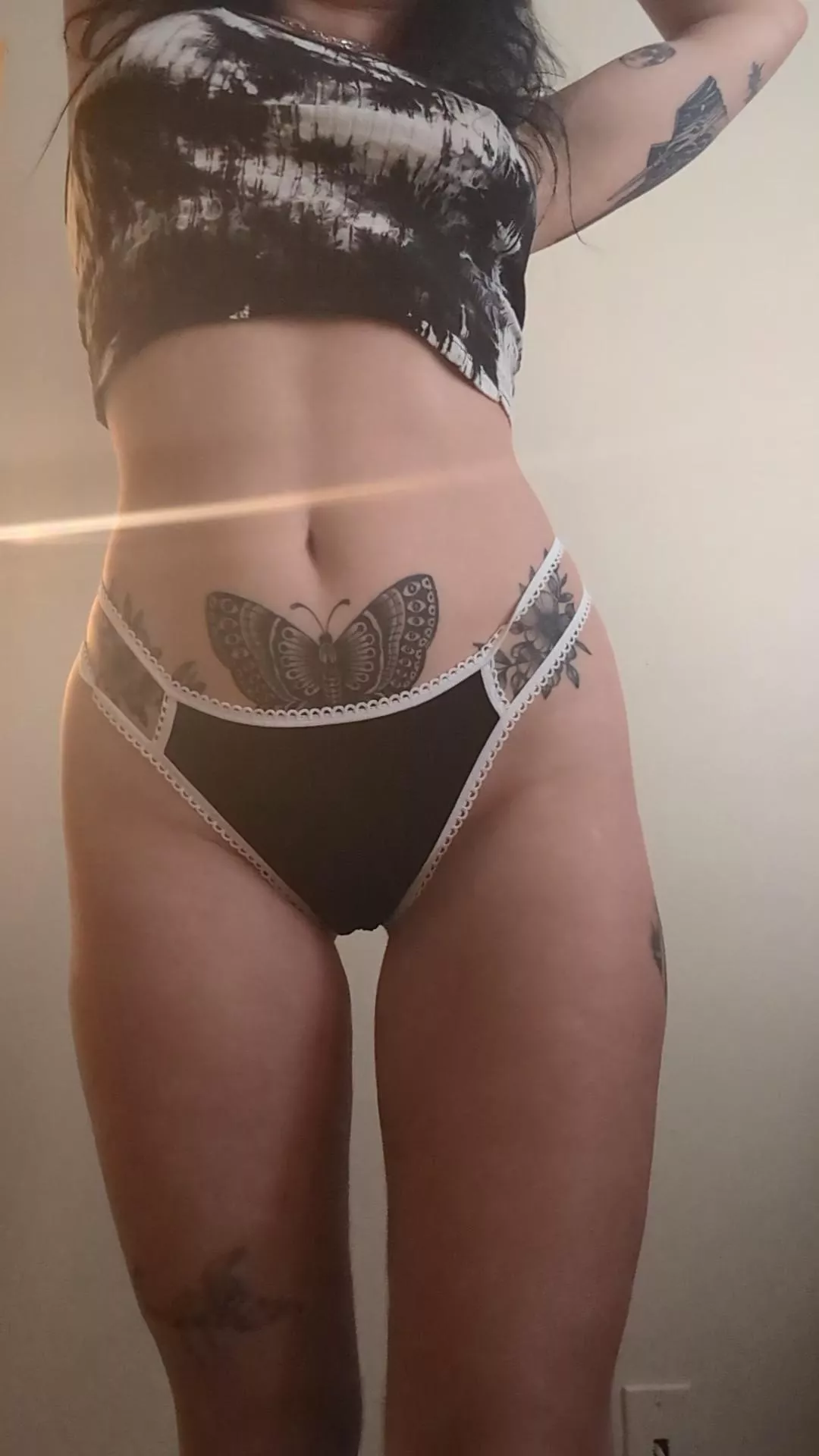 Good morning 🌞 my kitty says hi 👋