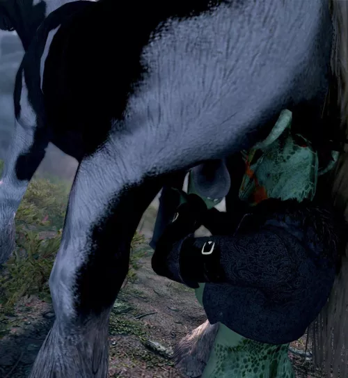 Helping out a needy horse