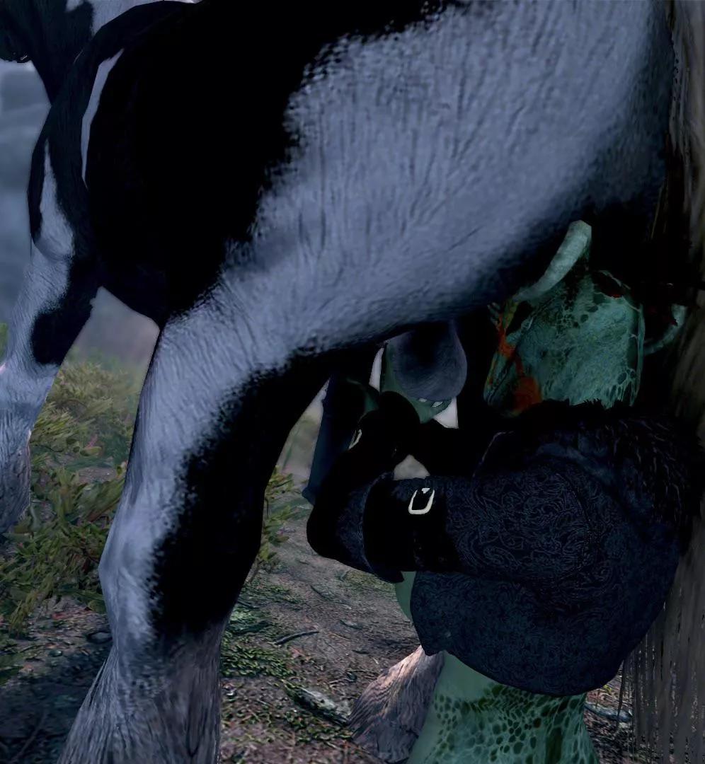 Helping out a needy horse