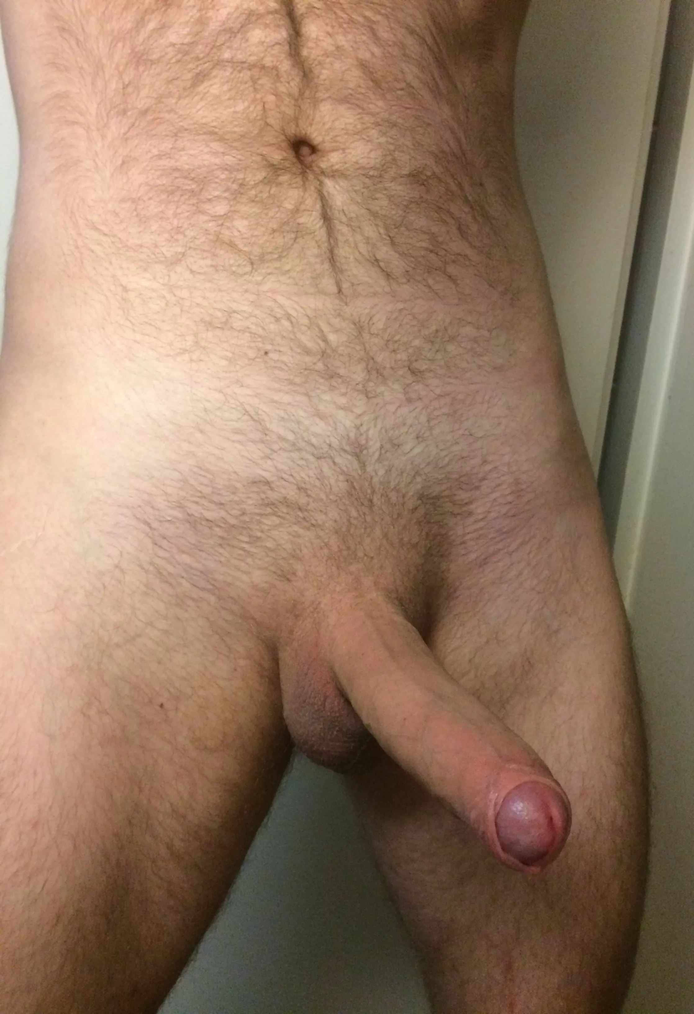 Hey there, want to breed?