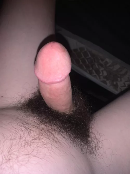 In need of fuzzy bears to take care of this 🥺🥰