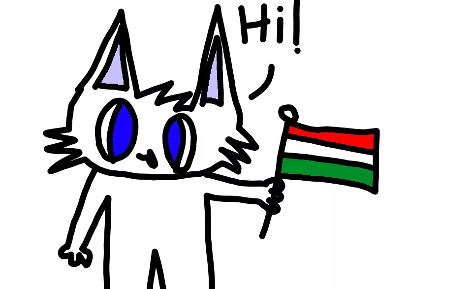 Me, a Hungarian waving the flag of my country! :3