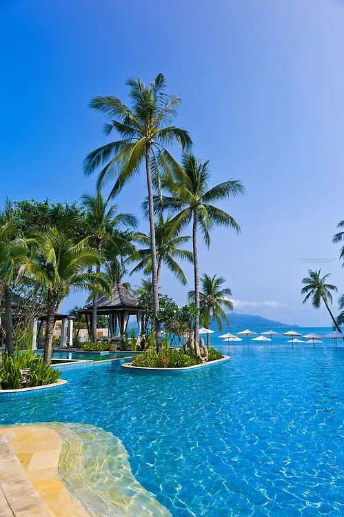 Nice weather for a swim.