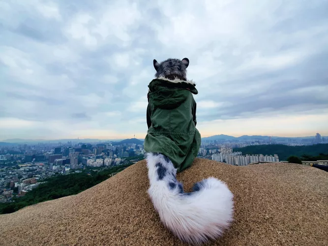 Oh, to have the world by its tail... (@Hoonkuk on Twitter)