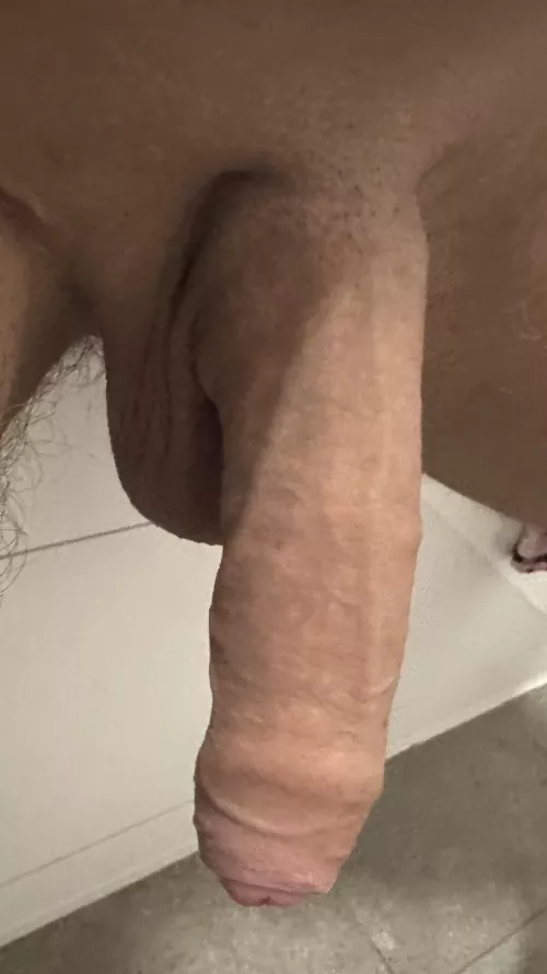 Rate my soft Cock