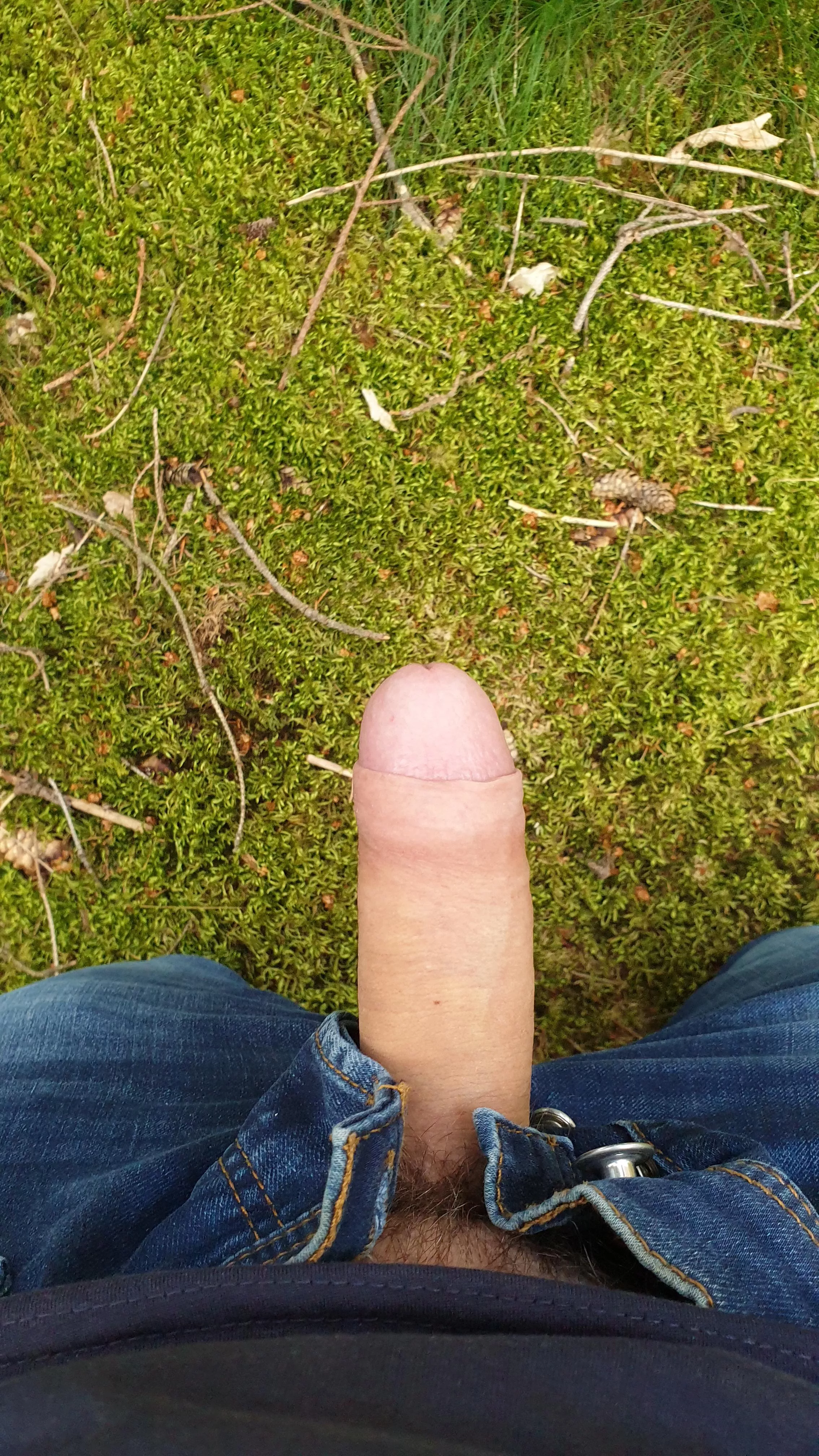 Someone was in dire need of fresh forest air.