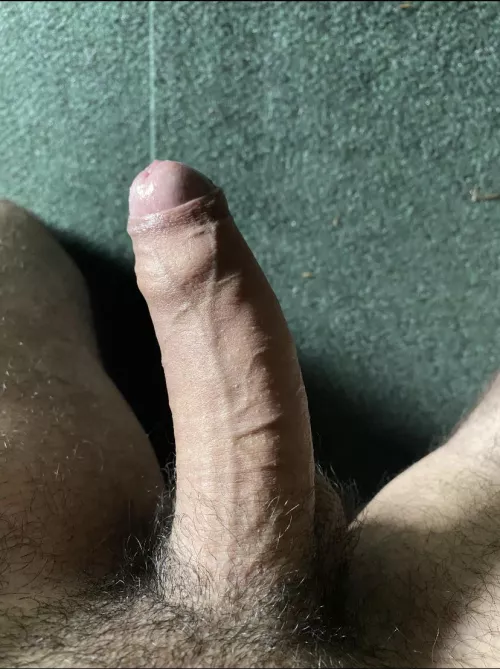 Taking in the sun this morning.