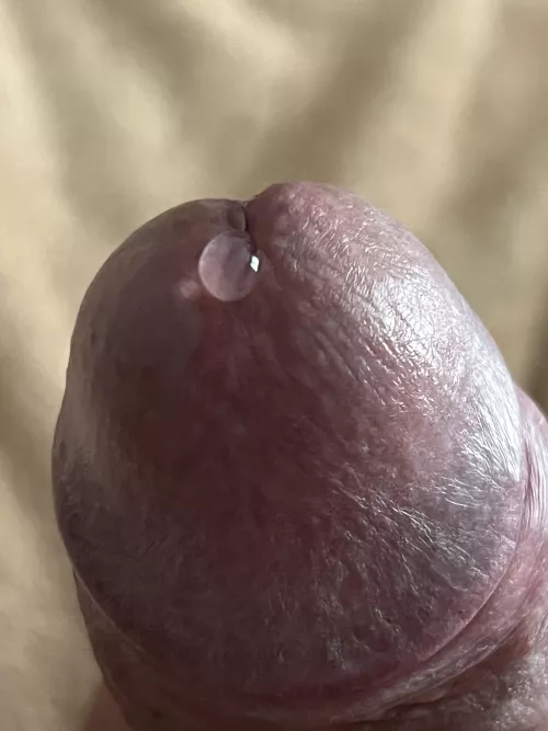 (50) getting started.