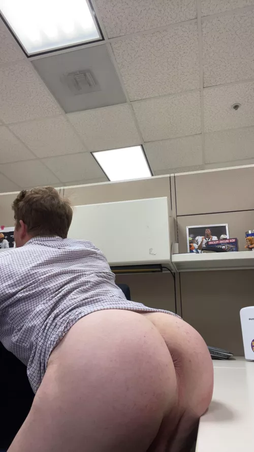 Another day in the office 🫢