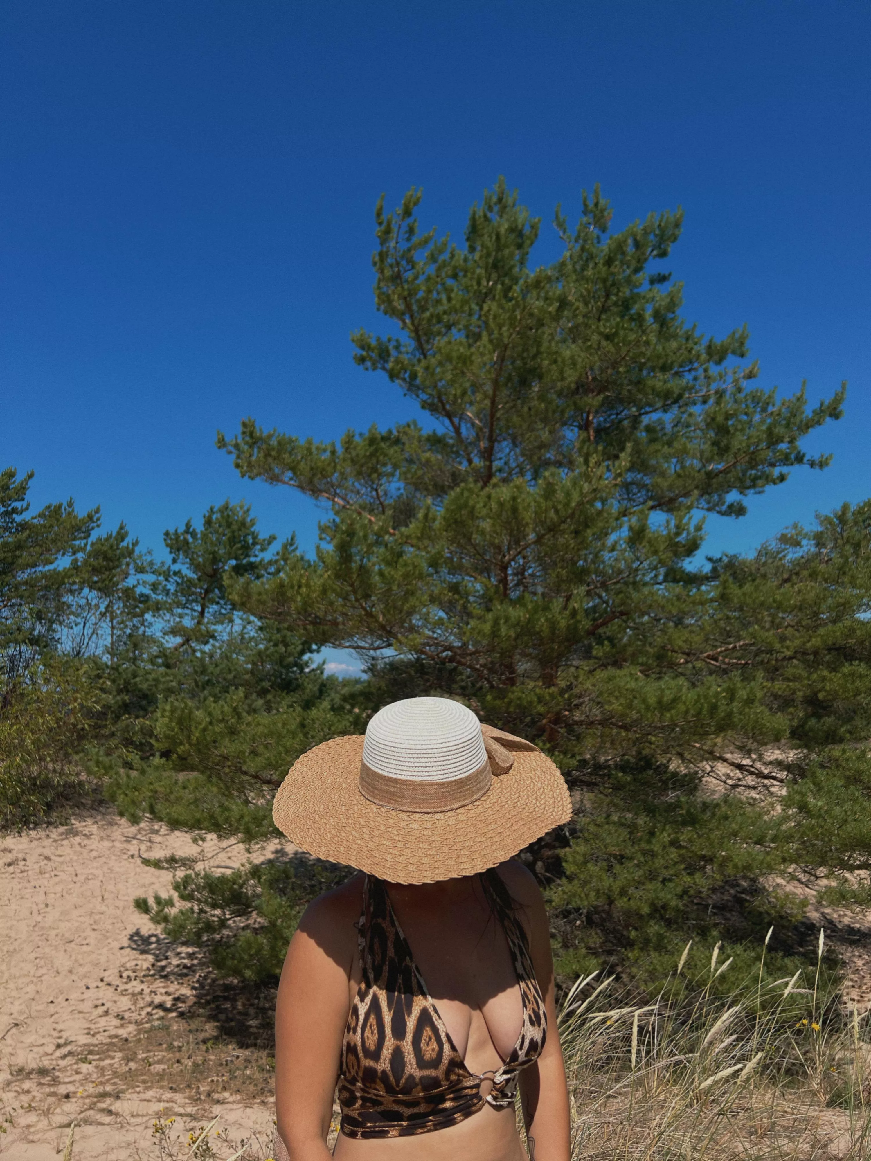 Big hat, tree and blue sky.🌿