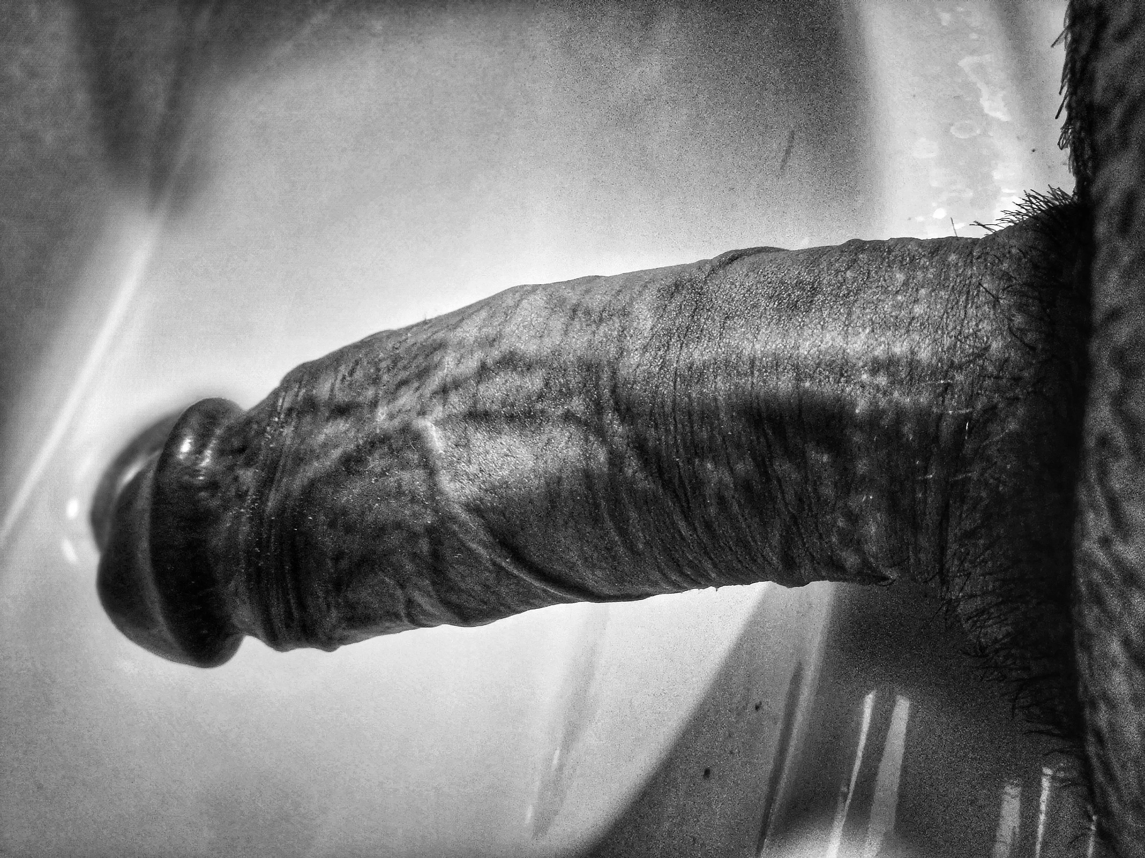 Close up being veiny