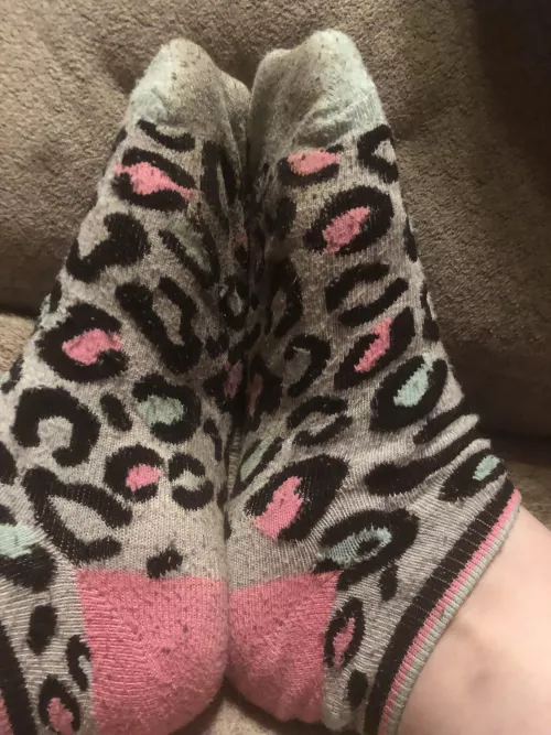 Day 2 in my cute little leopard socks! Don’t you wish you could smell them like I can??DMs open for serious buyers and questions!