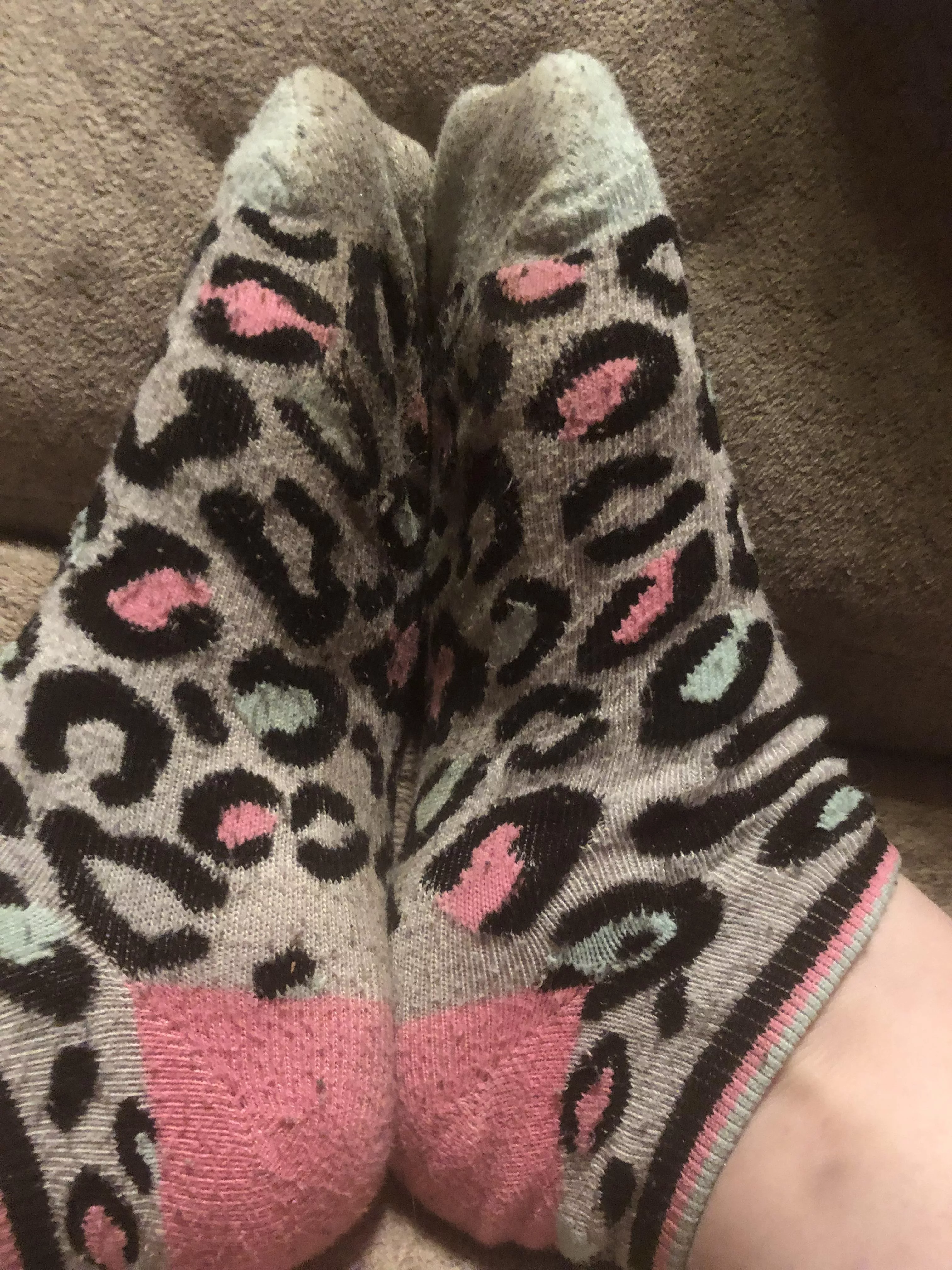 Day 2 in my cute little leopard socks! Don’t you wish you could smell them like I can??DMs open for serious buyers and questions!