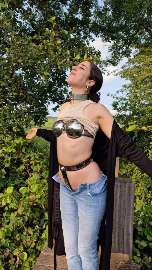 Going to be locked for 5 days at u/fotoro ‘s place, and this is the first walk we did to see some dutch ducks🥰