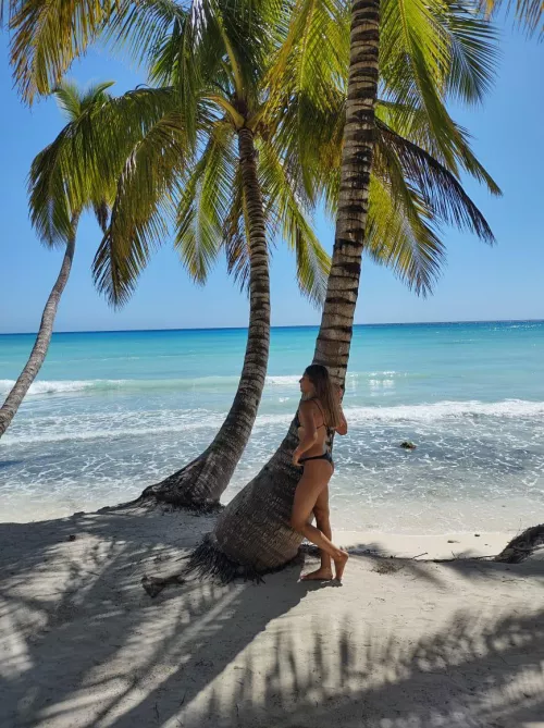 Isla saona. A paradise where the film Piratas del Caribe was set🎥