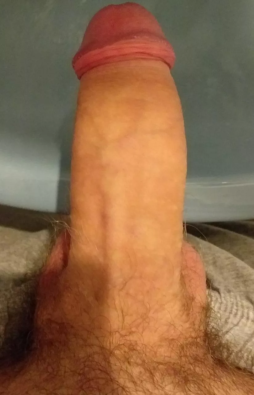 19M, first time posting my cock online. What do y'all think ?