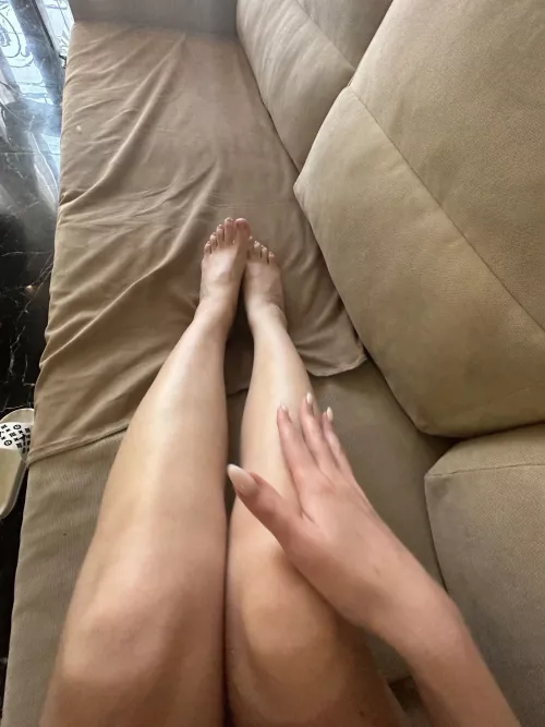 All day I dream about sex