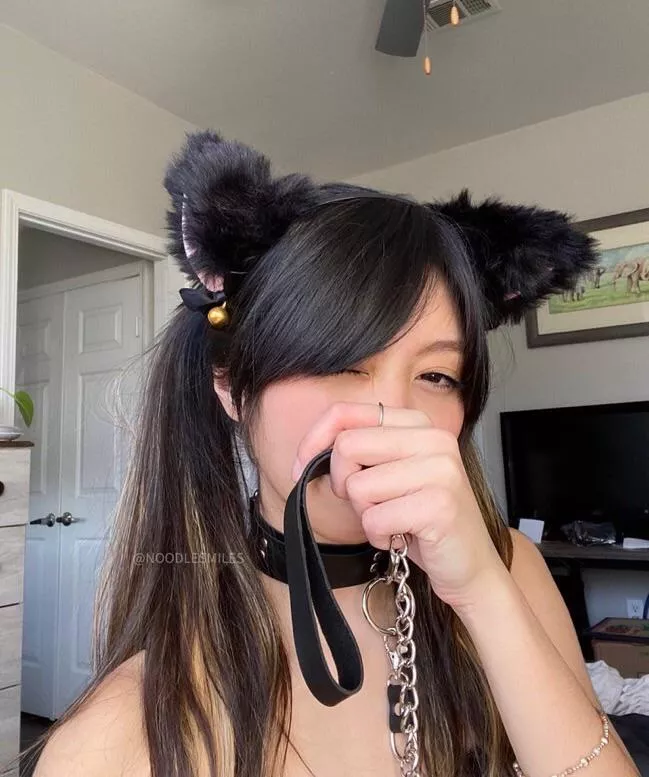 Catgirl - at your service!