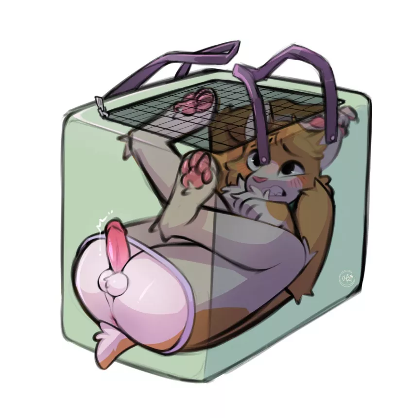 daddy keeping me in a tiny crate