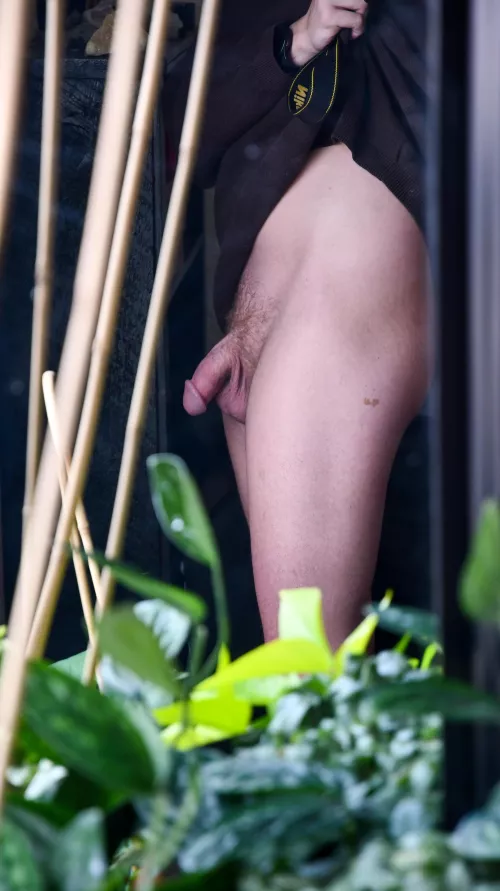 Do Like mushrooms heads ?