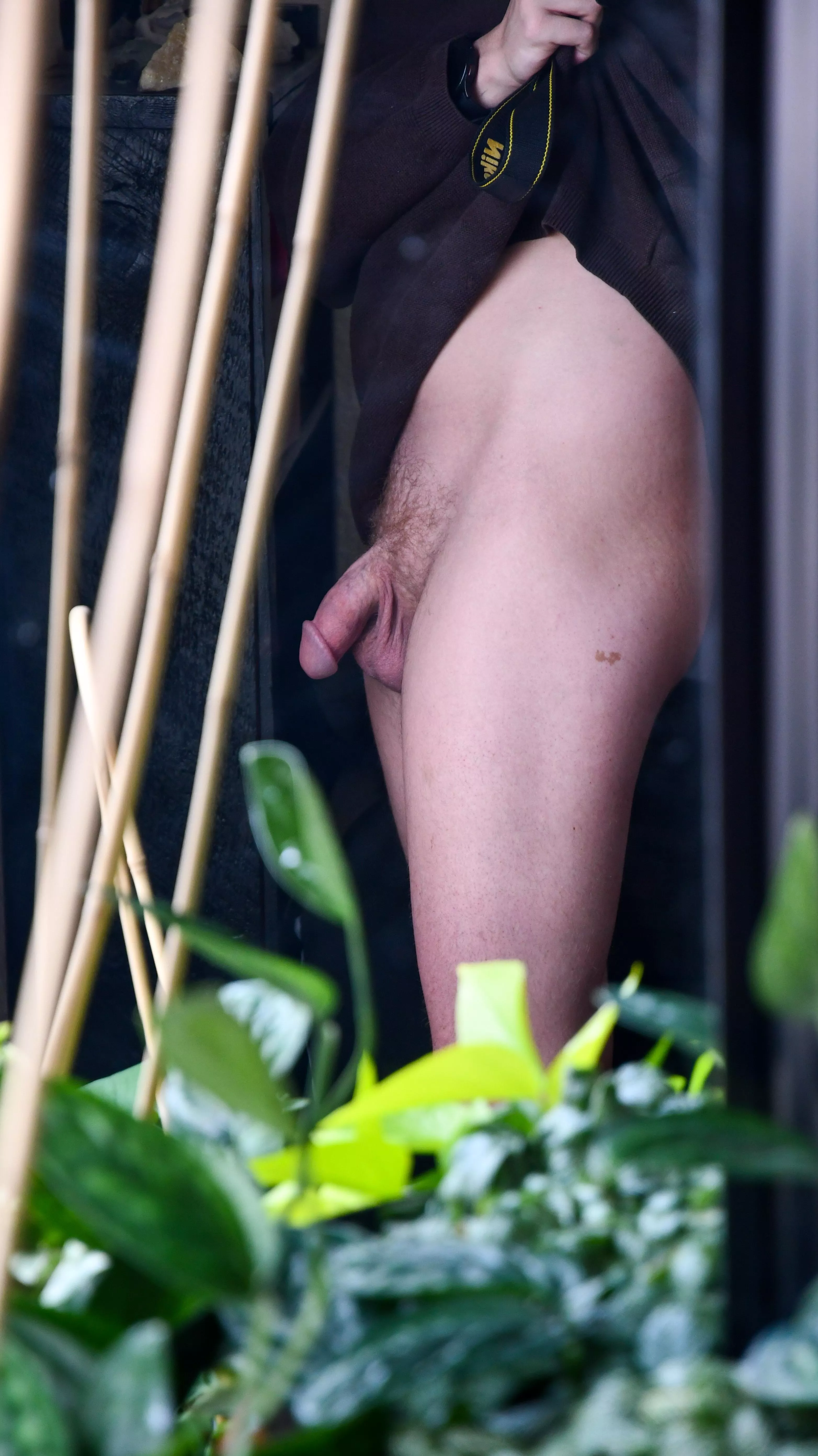 Do Like mushrooms heads ?