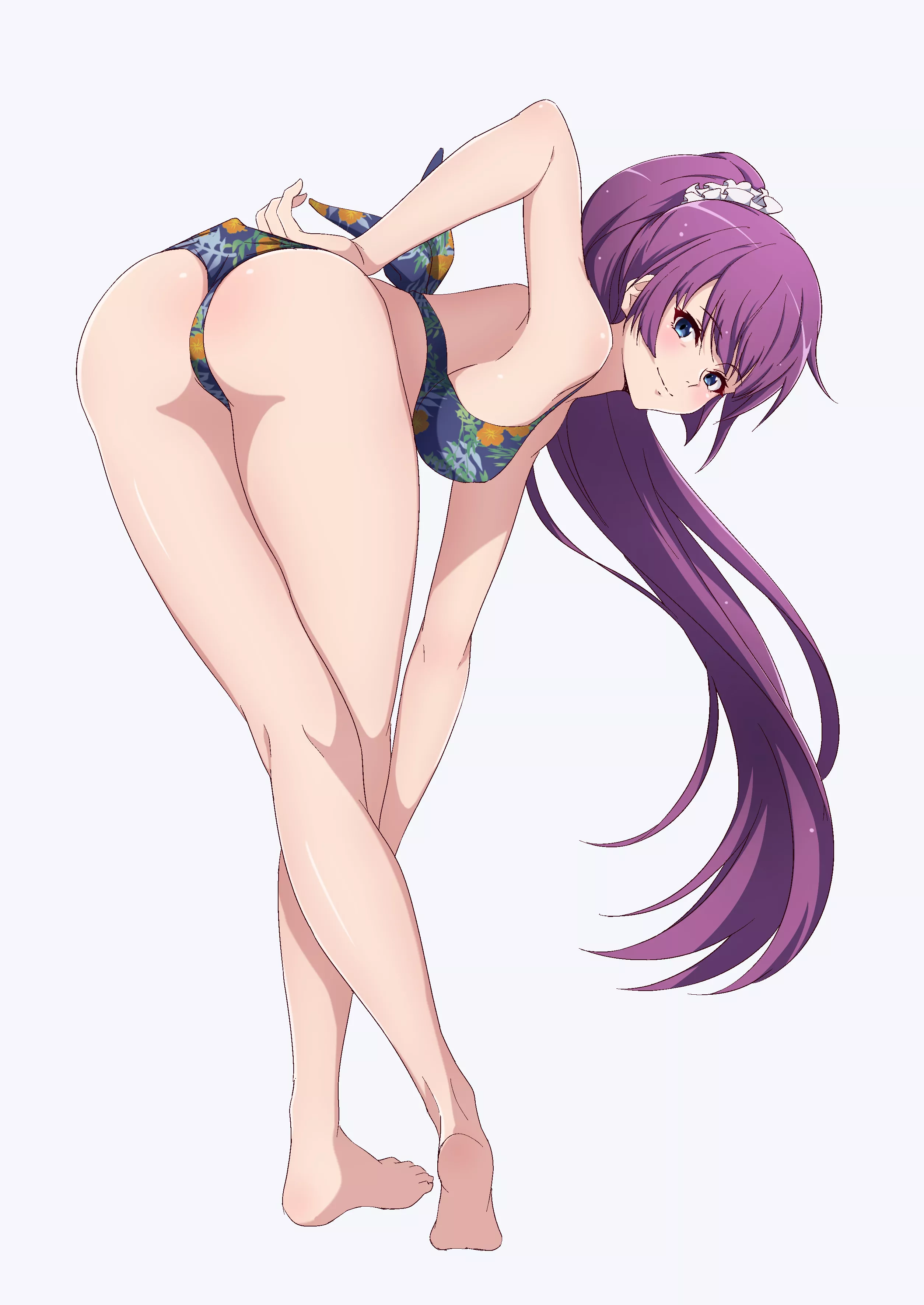 Hitagi Senjougahara [Monogatari Series]