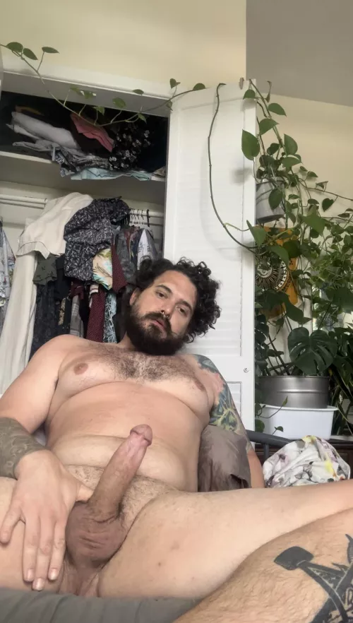 I shave my balls more than I shave my beard