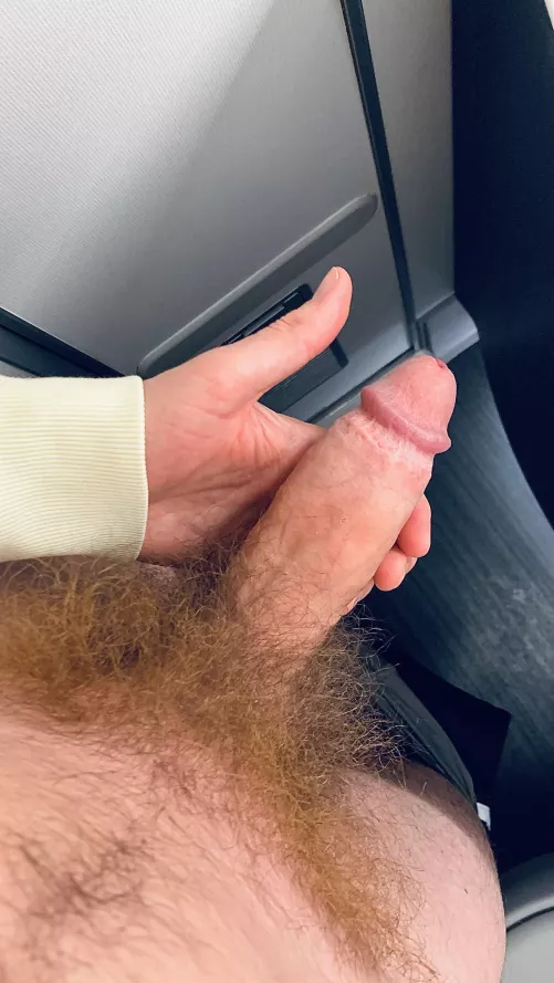 Jerk off at 40000 feet ✈️