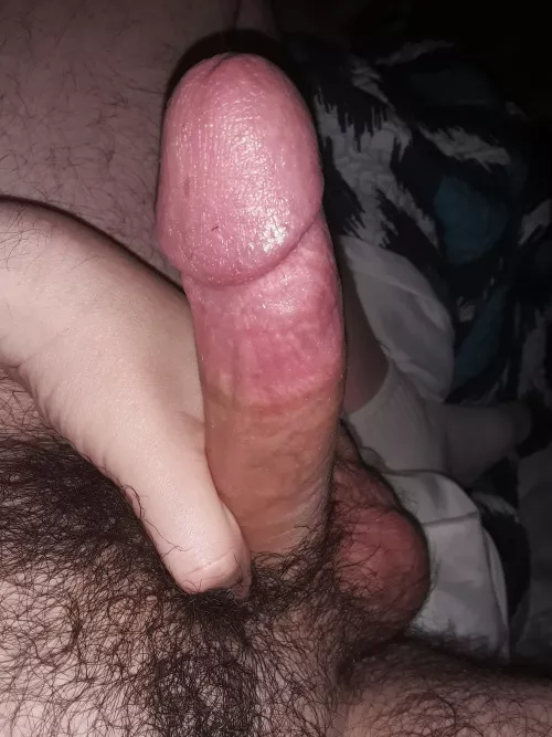 Morning boys. Say hi