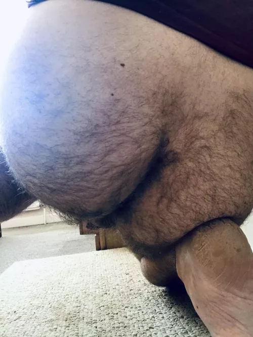 My hairy ass is waiting to be used.