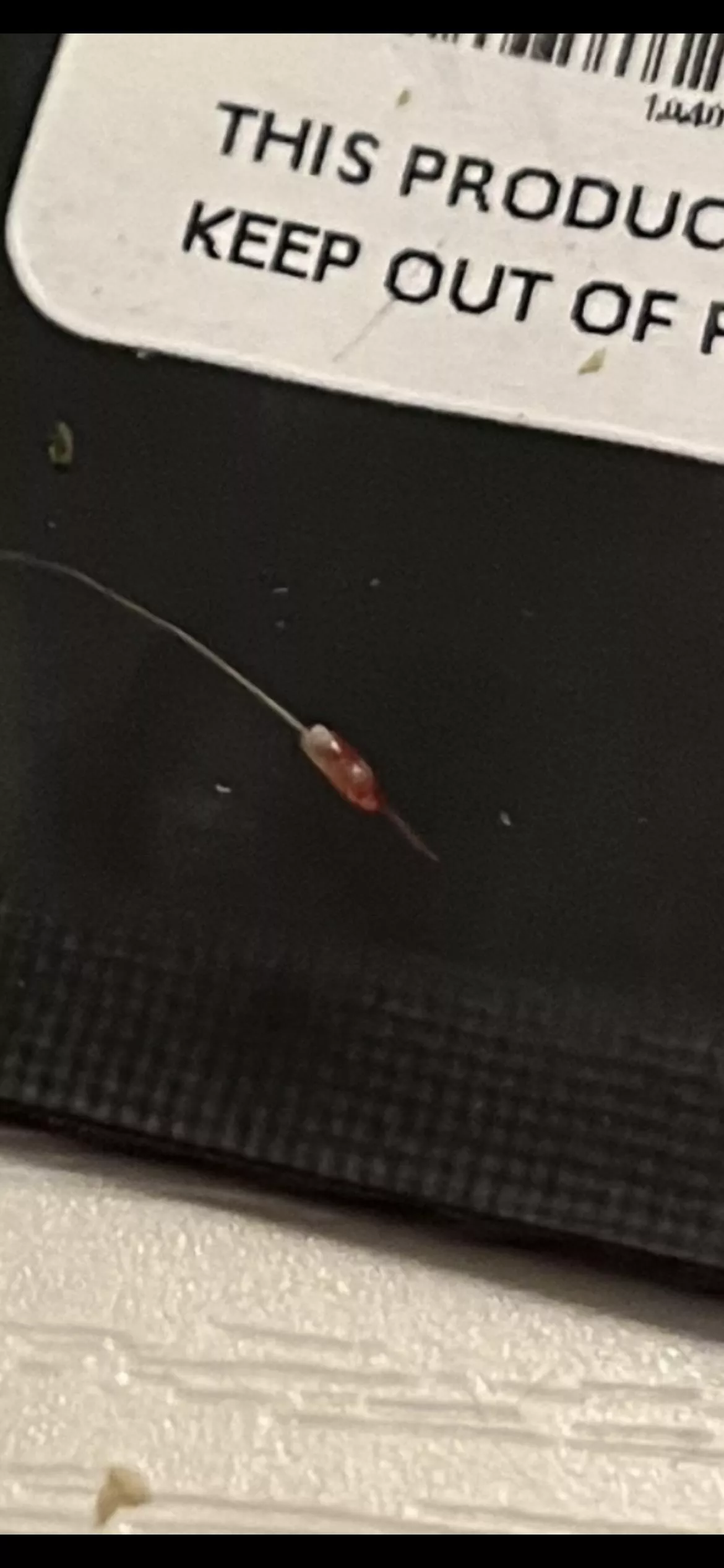 Pulled this little bastard out of my chest (nsfw: blood)