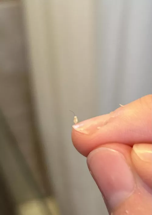 This little pop is so cute lol