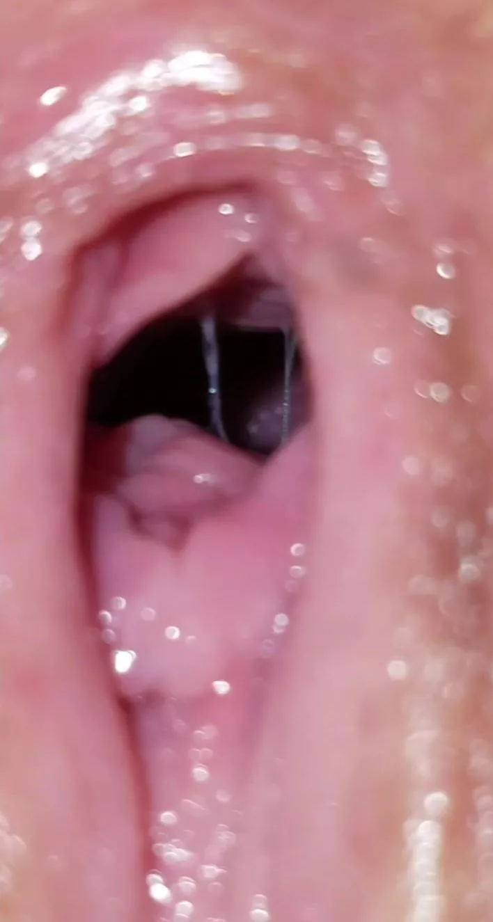 Wife came home and wanted to sit on my face. is this what I think it is?