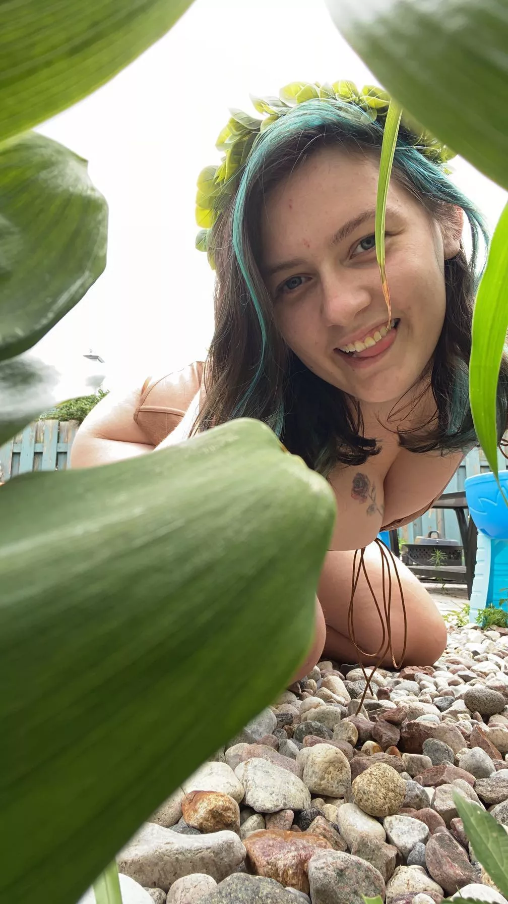 Your local druid is looking for herbs. Can I get some help?