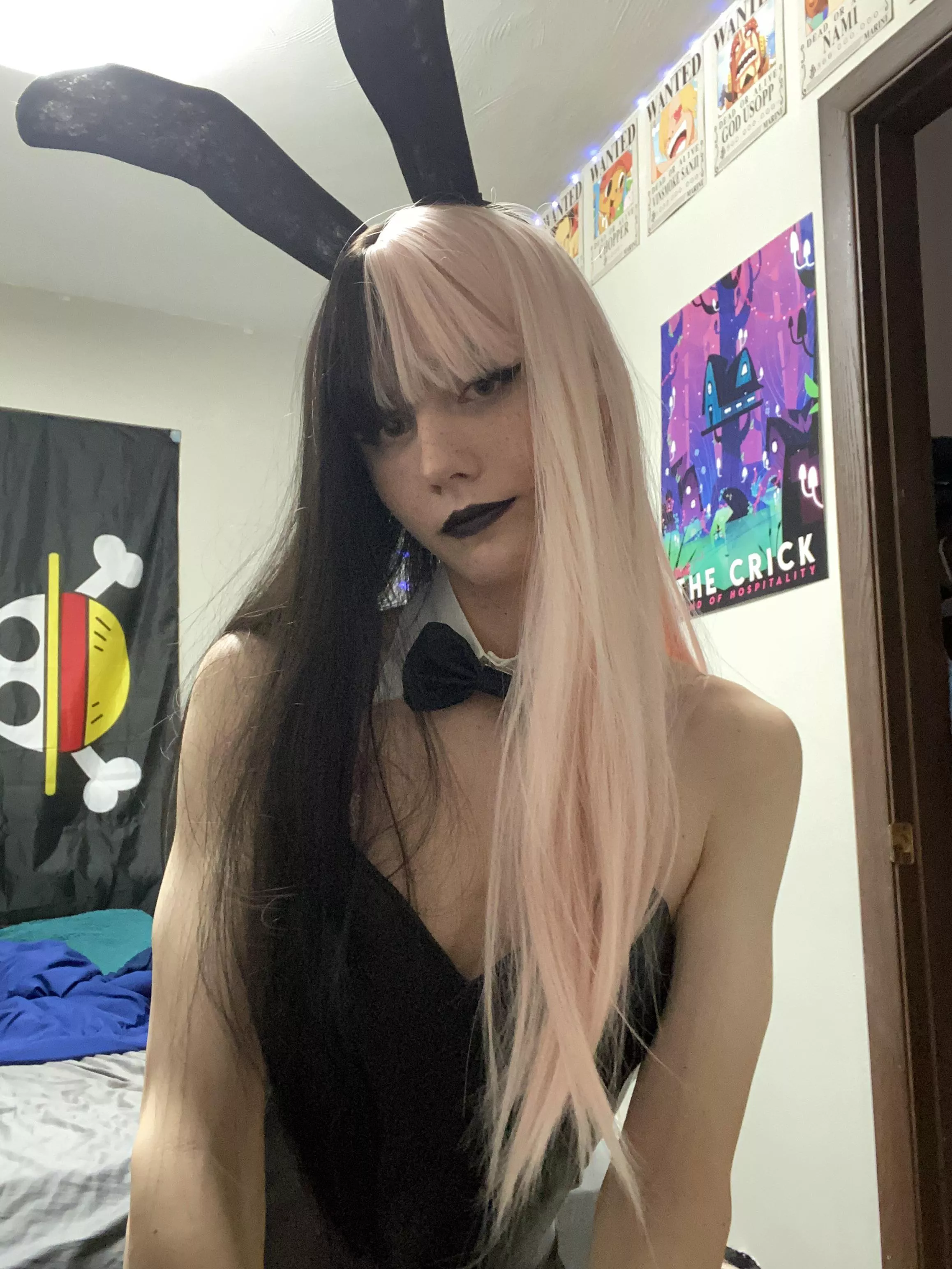 Do you guys bunnies??